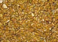 Cassia Torea Seeds