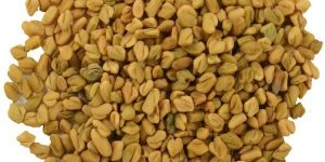 Fenugreek Seeds