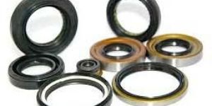 Oil Seals
