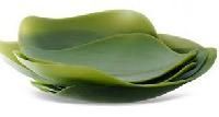 Natural Leaf Plate