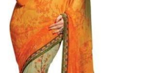 Shonaya Multicolour Georgette Embroidere