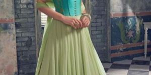 Parrot and Sky Net Georgette Anarkali Suit