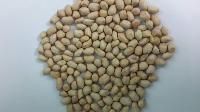 Hps Groundnuts