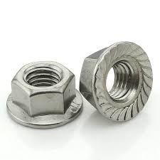 Stainless Steel Flange Nut
