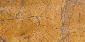 Rain Forest Gold Marble Stone