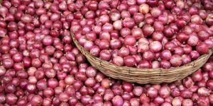 Farm Fresh Onion