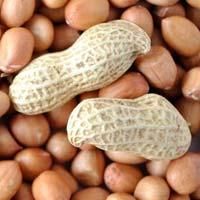 Hps Groundnuts