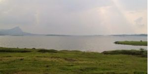 agriculture land & plots