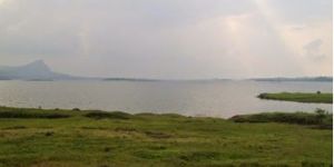 agriculture land & plots