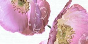 Glossy Finish Wall Tiles (600X300 MM)