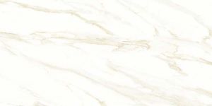 Glossy Vitrified Tiles (2000x980 MM)