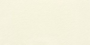 Stone Finish Vitrified Tiles (1215x605 MM)