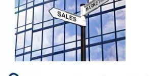 Business Consultancy Services