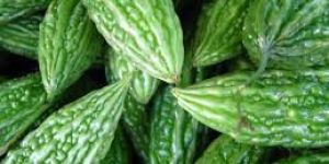 Fresh Bitter Gourd