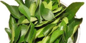 Curry Leaf