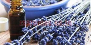 Lavender Essential Oil