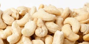 Cashew Nut