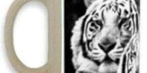 GLOW IN THE DARK MUGS