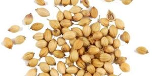 Coriander Seeds