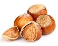 Hazelnut