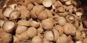 Coconut Shells