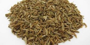 Organic Cumin Seeds