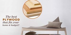 Buy Plywood from eConstructionMart
