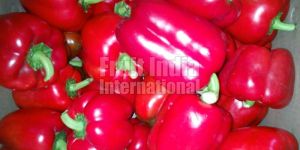 Fresh Capsicum
