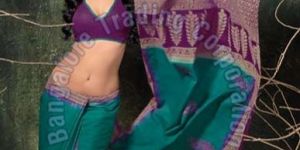 Silk Cotton Sarees