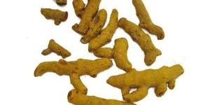 Turmeric Roots