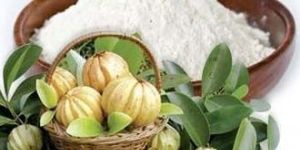 Garcinia Cambogia Extract