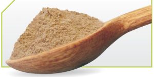 Dehydrated Garlic Powder