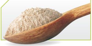 Dehydrated White Onion Powder