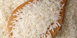 Non Basmati Rice