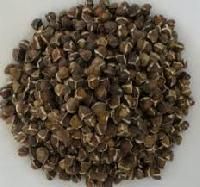 Moringa Oleifera Seeds
