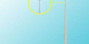 SOFT INOCULATION LOOP GAMA RADIATED STERILE