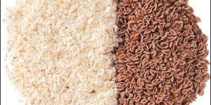 Organic Psyllium
