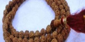 Rudraksha Mala