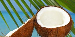 Fresh Coconut