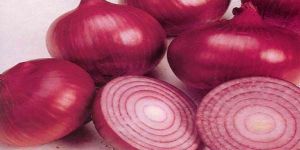 Red Onion