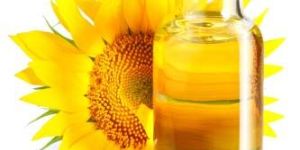 Sunflower Oil