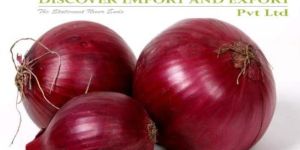 India Red Onion