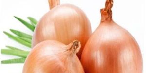 Pink Onion