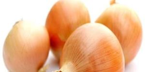 Pink Onions