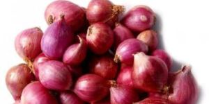 Sambar Small Onion
