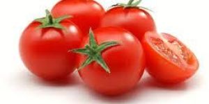 Tomato