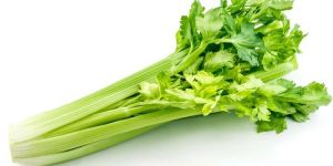 Fresh Celery