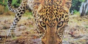 A4 Rough Writing Notebooks