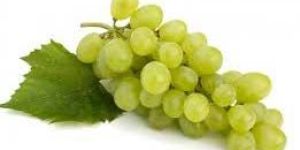 Fresh Grapes