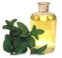 Menthol Oil